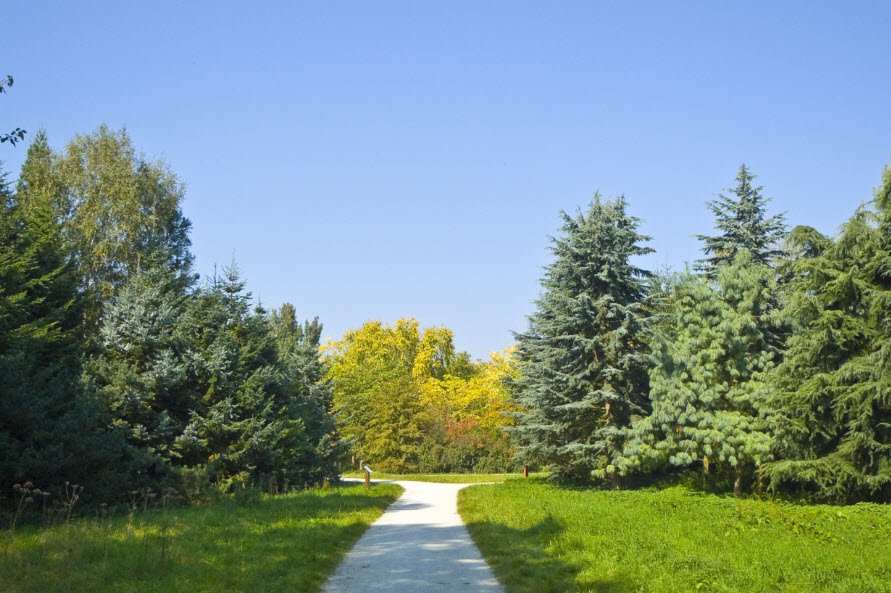Arboretum Main-Taunus, Germany